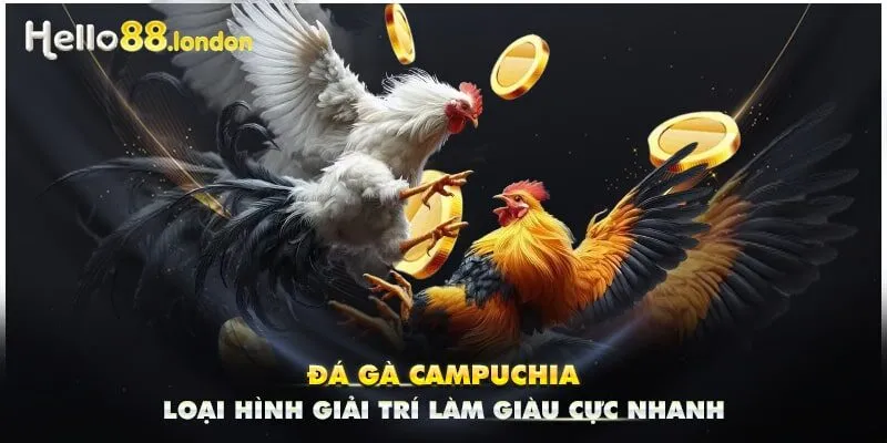 Đá Gà Campuchia - Loại Hình Giải Trí Làm Giàu Cực Nhanh